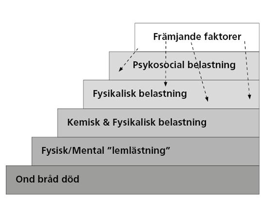 Arbetsmiljötrappan Arbetsmiljötrappan