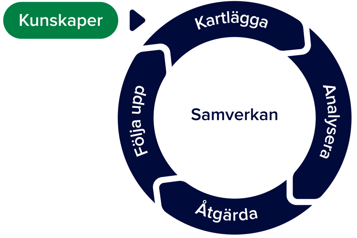 Illustration av SAM-hjulet. En Cirkel uppdelad i fyra delar som visar stegen i det systematiska arbetsmilj&ouml;arbetet: unders&ouml;ka, riskbed&ouml;ma, &aring;tg&auml;rda, f&ouml;lja upp. Pilarna mellan delarna visar att processen &auml;r ett st&auml;ndigt p&aring;g&aring;ende kretslopp. I mitten av cirkeln st&aring;r det samverkan. 