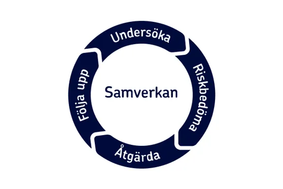 Illustration av SAM-hjulet. En Cirkel uppdelad i fyra delar som visar stegen i det systematiska arbetsmilj&ouml;arbetet: unders&ouml;ka, riskbed&ouml;ma, &aring;tg&auml;rda, f&ouml;lja upp. Pilarna mellan delarna visar att processen &auml;r ett st&auml;ndigt p&aring;g&aring;ende kretslopp. I mitten av cirkeln st&aring;r det samverkan.  