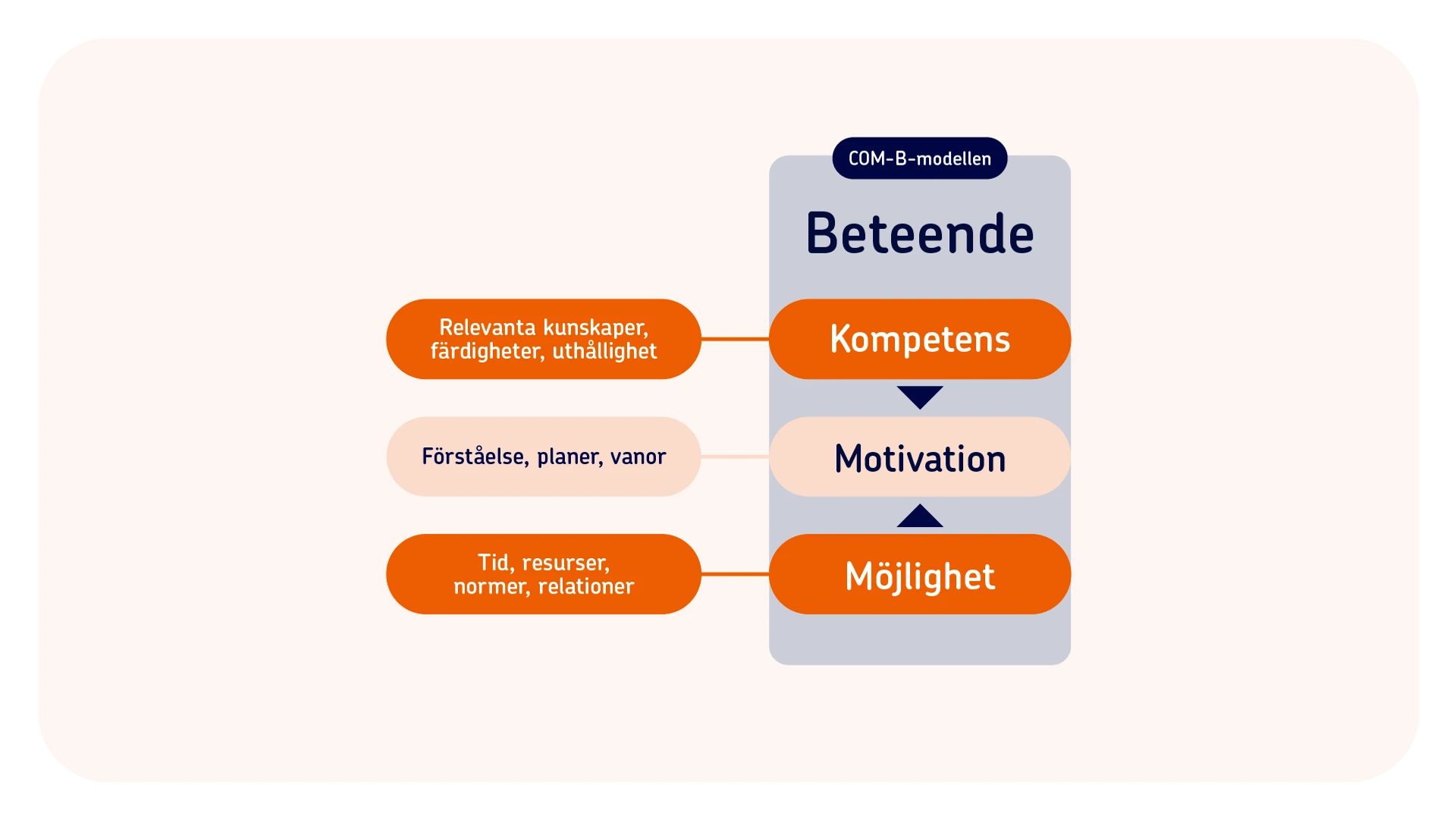 En matris &ouml;ver COM-B-modellen. Den visar att det beh&ouml;vs kompetens, motivation och m&ouml;jlighet f&ouml;r att ett beteende ska f&ouml;r&auml;ndras.